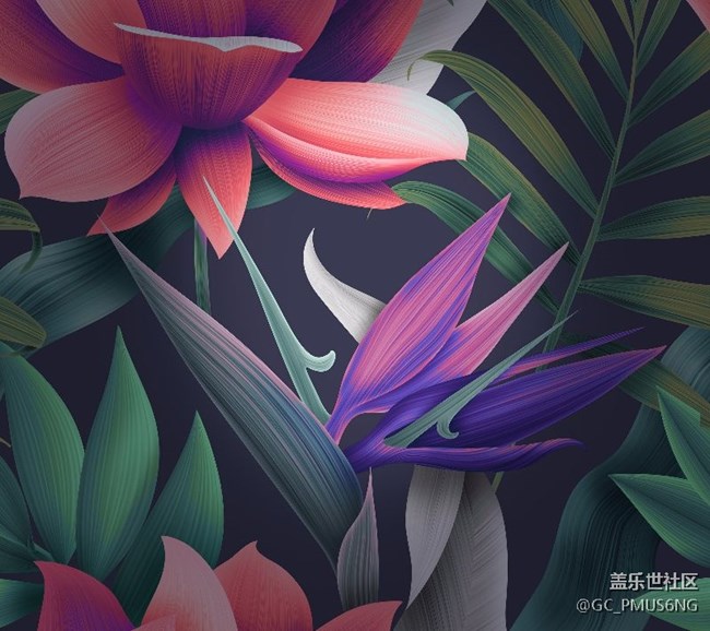 壁纸欣赏（原生）