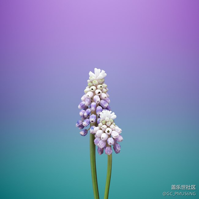 壁纸欣赏（原生）