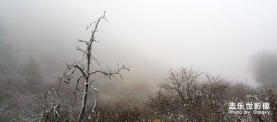 《霜》