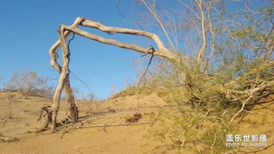 拍才知道+路边随拍