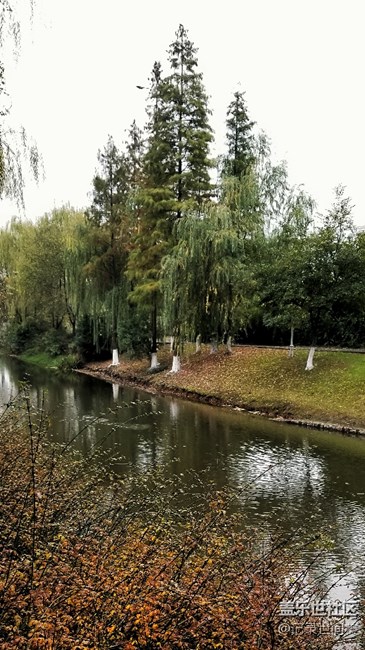 寒雨冷风入江南，朗秋不再，又见落叶枯草时。