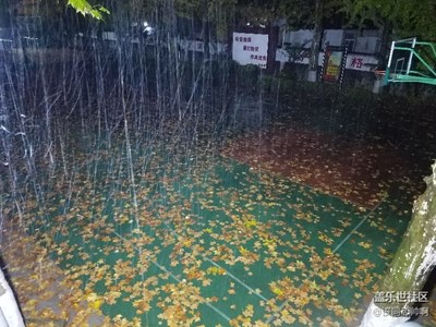 夜雨扫秋