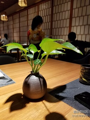 花花草草