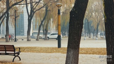 沈城一雪