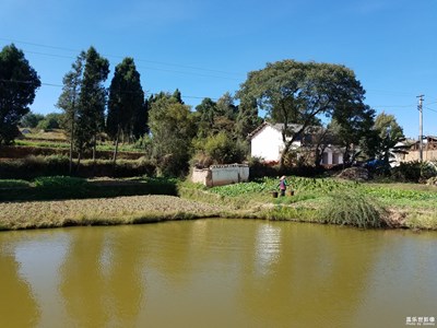 乡村风景别样好