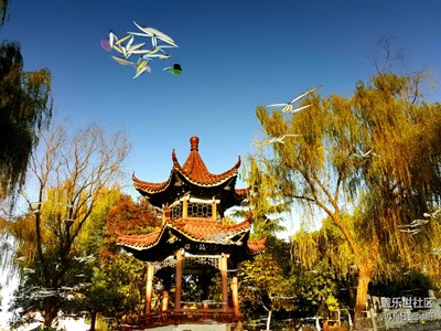 小公园的风景