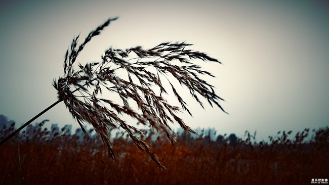 【每周精帖汇】第80期:Note8百人体验正在进行中! 【每周精帖汇】第80期:Note8百人体验正在进行中!