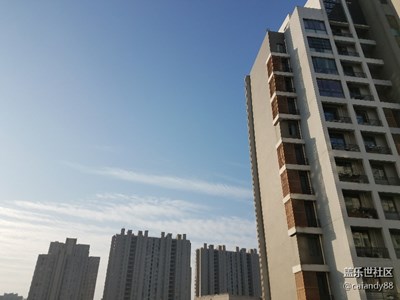 阳光明媚