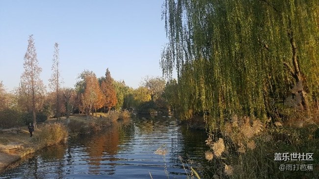 寒冬也可以如此美丽。