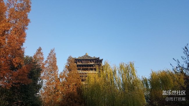 寒冬也可以如此美丽。