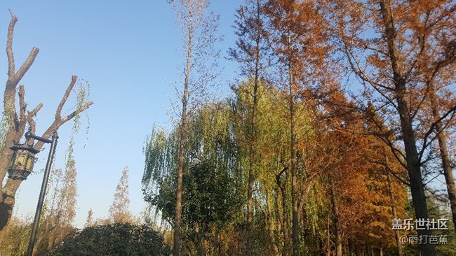 寒冬也可以如此美丽。