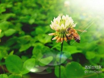 #Note8 双摄要这么玩儿# 实时虚化+专业模式
