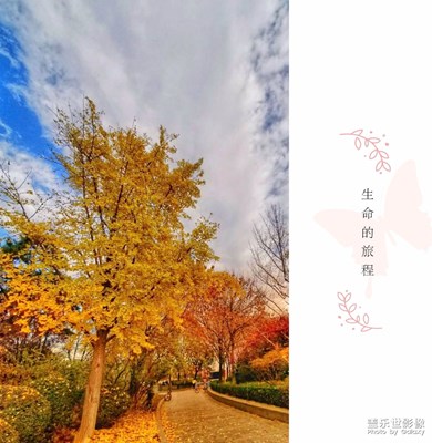 闲游随拍