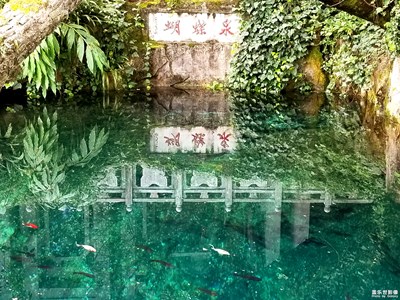 行摄云南----第二部分【苍山洱海蝴蝶泉】