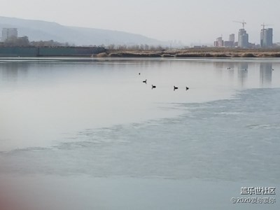 天水渭河河岸。
