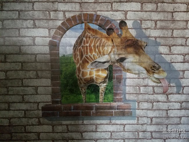 【C8体验团】【图文】中国有C哈，时尚与科技的碰撞