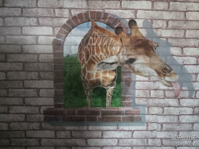 【C8体验团】【图文】中国有C哈，时尚与科技的碰撞