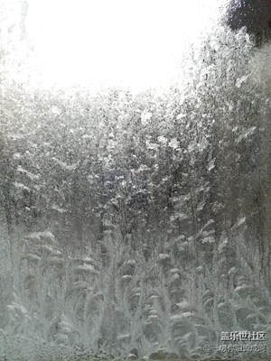 窗户上的冰花