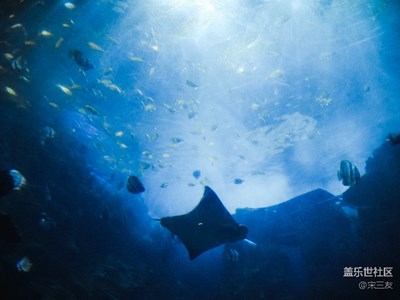 广州水族馆