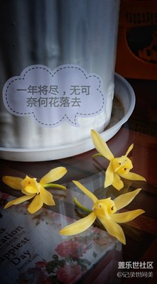 无可奈何花落去