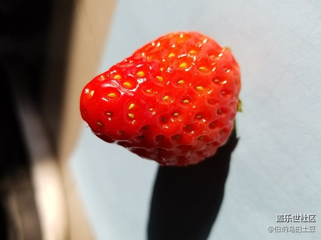 草莓近物照