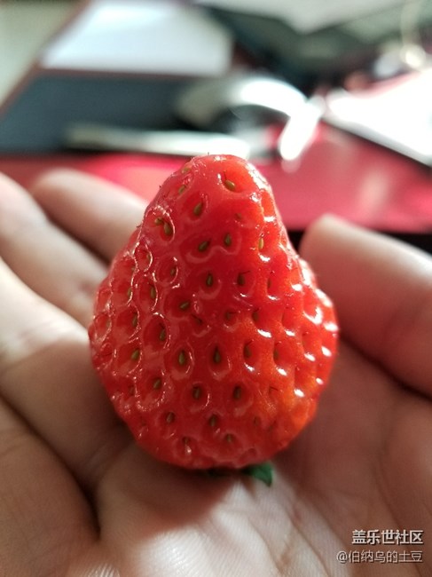 草莓近物照