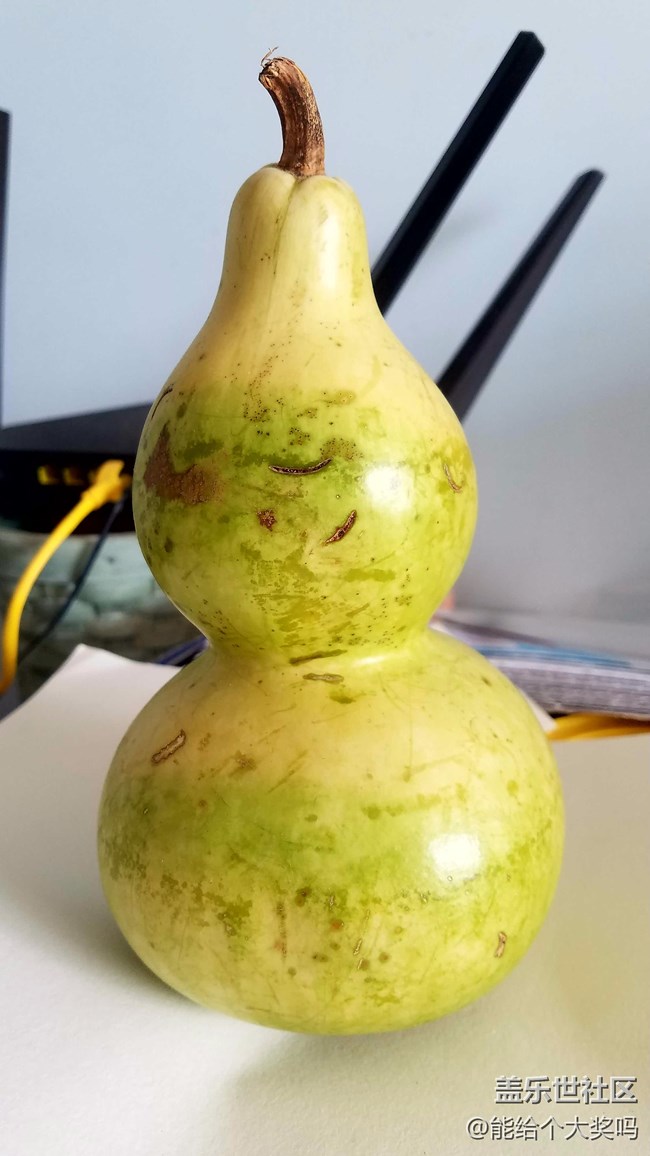 摄像头有点瑕疵，