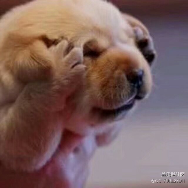 我就想问问