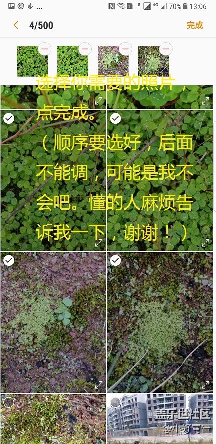 新年了，让静止的照片动起来，让单调的好听起来。
