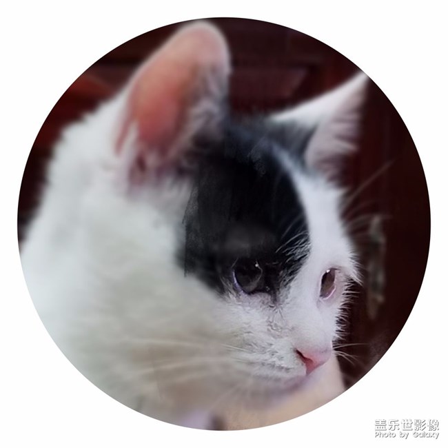 我家小点儿