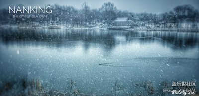 久盼的大雪