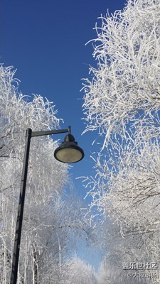 沉醉在银装素裹的冰雪世界