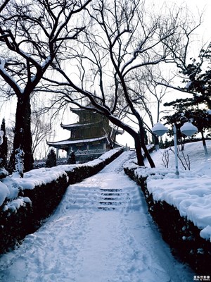 雪后濩泽