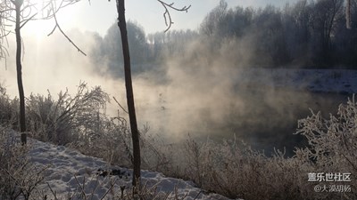 偶遇野鸭