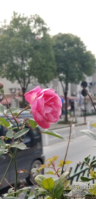 Note  8双摄镜头的实时虚化加上夜视仪就是强