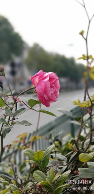 Note  8双摄镜头的实时虚化加上夜视仪就是强