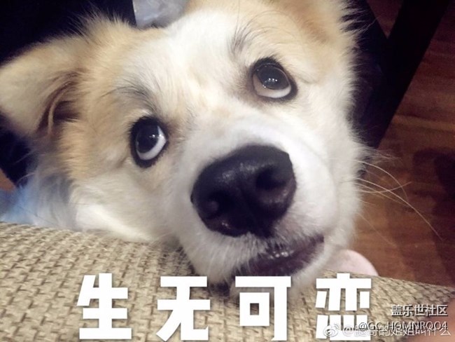 换屏多少钱？？