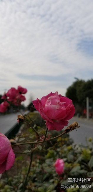 Note  8双摄镜头的实时虚化加上夜视仪就是强
