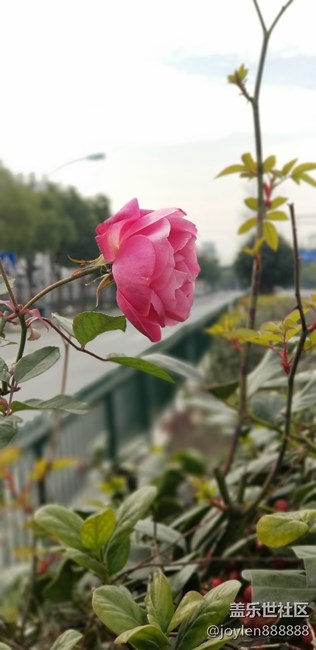 Note  8双摄镜头的实时虚化加上夜视仪就是强