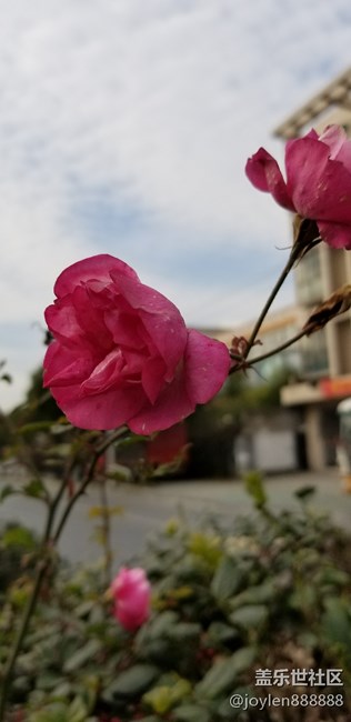 Note  8双摄镜头的实时虚化加上夜视仪就是强