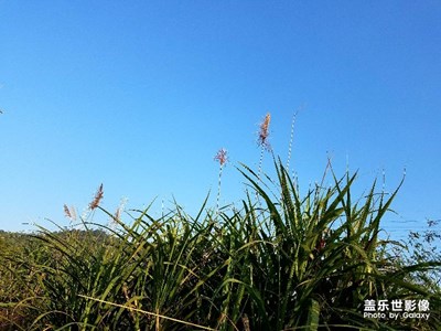 天好蓝