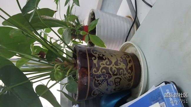 N8、N5相机效果比较