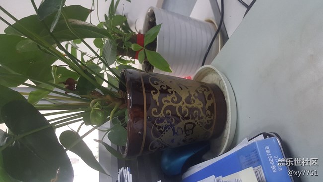 N8、N5相机效果比较