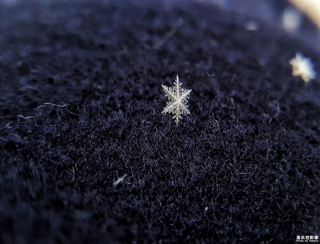 每周精帖汇【第87期:新春好礼,S8勃艮第红驾到!】 每周精帖汇【第87期:新春好礼,S8勃艮第红驾到!】