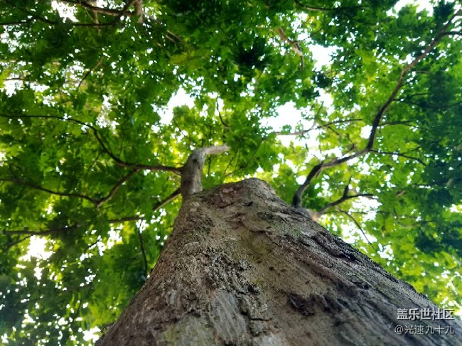 每周精帖汇【第87期:新春好礼,S8勃艮第红驾到!】 每周精帖汇【第87期:新春好礼,S8勃艮第红驾到!】