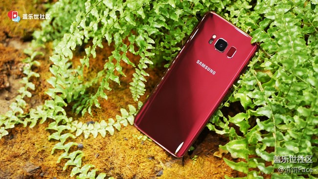 倾城之红 三星盖乐世 S8勃艮第红美图赏 倾城之红 三星盖乐世 S8勃艮第红美图赏