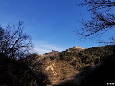 冬日里的八达岭野生动物园