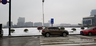 期待已久的雪