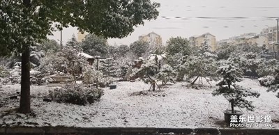 2018年苏州雪景