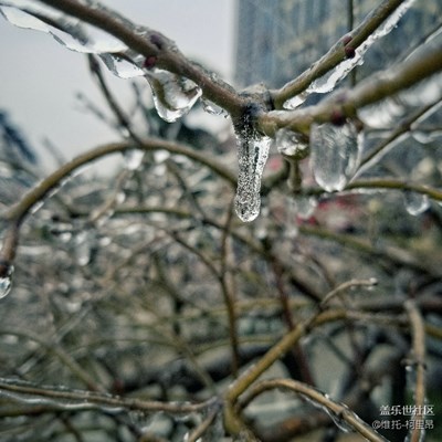 武汉迟到的冬天，终于迎来初雪！冬天快乐！
